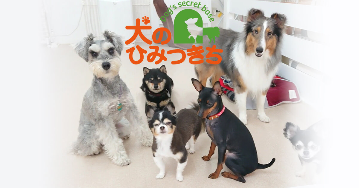 犬のひみつきち